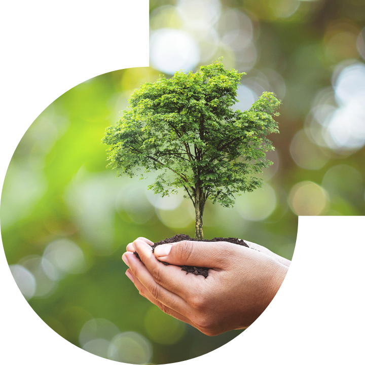 �P(gu��n)��������Ļ����h(hu��n)���c���(hu��)