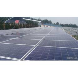 金鼎盛世 以服務至上的理念，引領太陽能發電行業新篇章